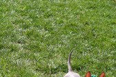 Enlarge photo 124