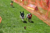 Enlarge photo 128