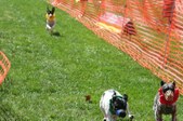 Enlarge photo 129
