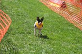 Enlarge photo 130