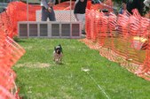 Enlarge photo 136