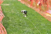 Enlarge photo 139
