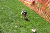 Enlarge photo 141