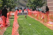 Enlarge photo 142