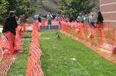 Enlarge photo 144