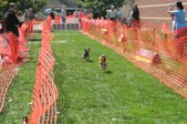 Enlarge photo 146