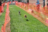 Enlarge photo 148