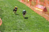 Enlarge photo 156
