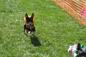 Enlarge photo 158