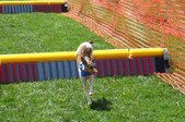 Enlarge photo 163