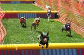Enlarge photo 174