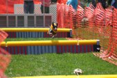 Enlarge photo 183