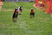 Carolina Classic 2011