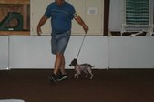 Enlarge photo 24