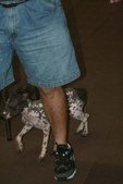 Enlarge photo 26