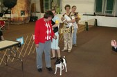 Enlarge photo 17