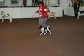 Enlarge photo 59