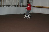 Enlarge photo 60