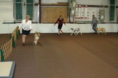 Enlarge photo 62