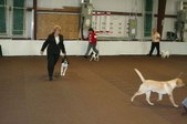Enlarge photo 63