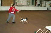 Enlarge photo 64