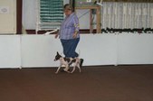Enlarge photo 115