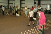 Enlarge photo 126