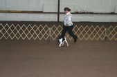 Enlarge photo 129
