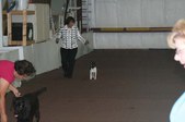 Enlarge photo 154