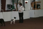 Enlarge photo 155