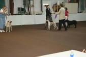Enlarge photo 159