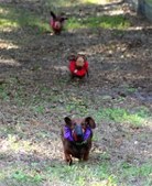 Enlarge photo 440