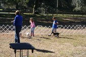 Enlarge photo 17