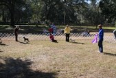 Enlarge photo 62