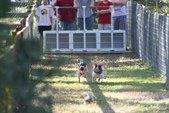 Enlarge photo 97