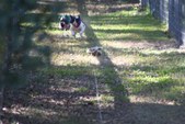 Enlarge photo 103