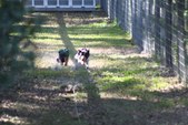 Enlarge photo 105