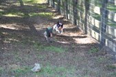 Enlarge photo 109