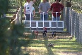 Enlarge photo 117