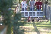Enlarge photo 116