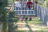 Enlarge photo 119