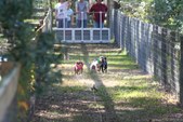 Enlarge photo 120