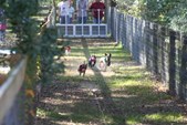 Enlarge photo 122