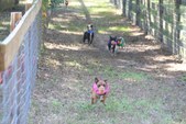 Enlarge photo 126