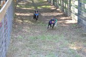 Enlarge photo 127