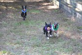 Enlarge photo 128