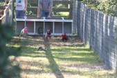 Enlarge photo 130
