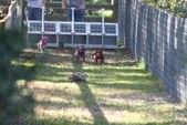 Enlarge photo 131