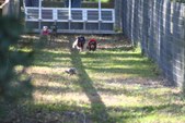 Enlarge photo 132