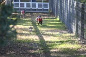 Enlarge photo 133